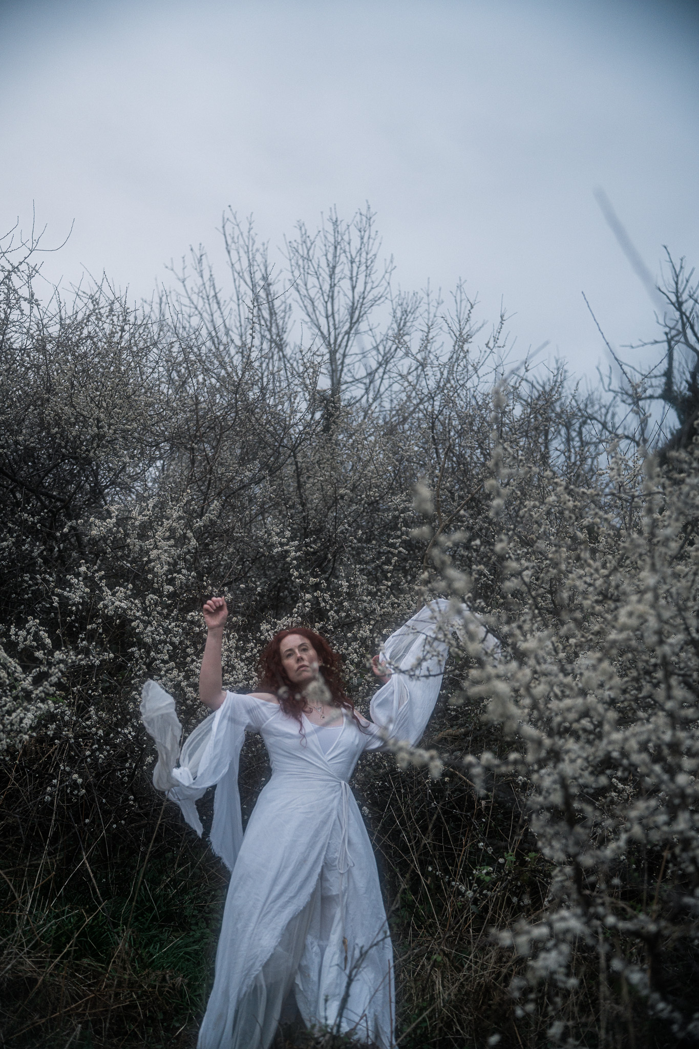 Celtic fae blackthorn, Isle of Man