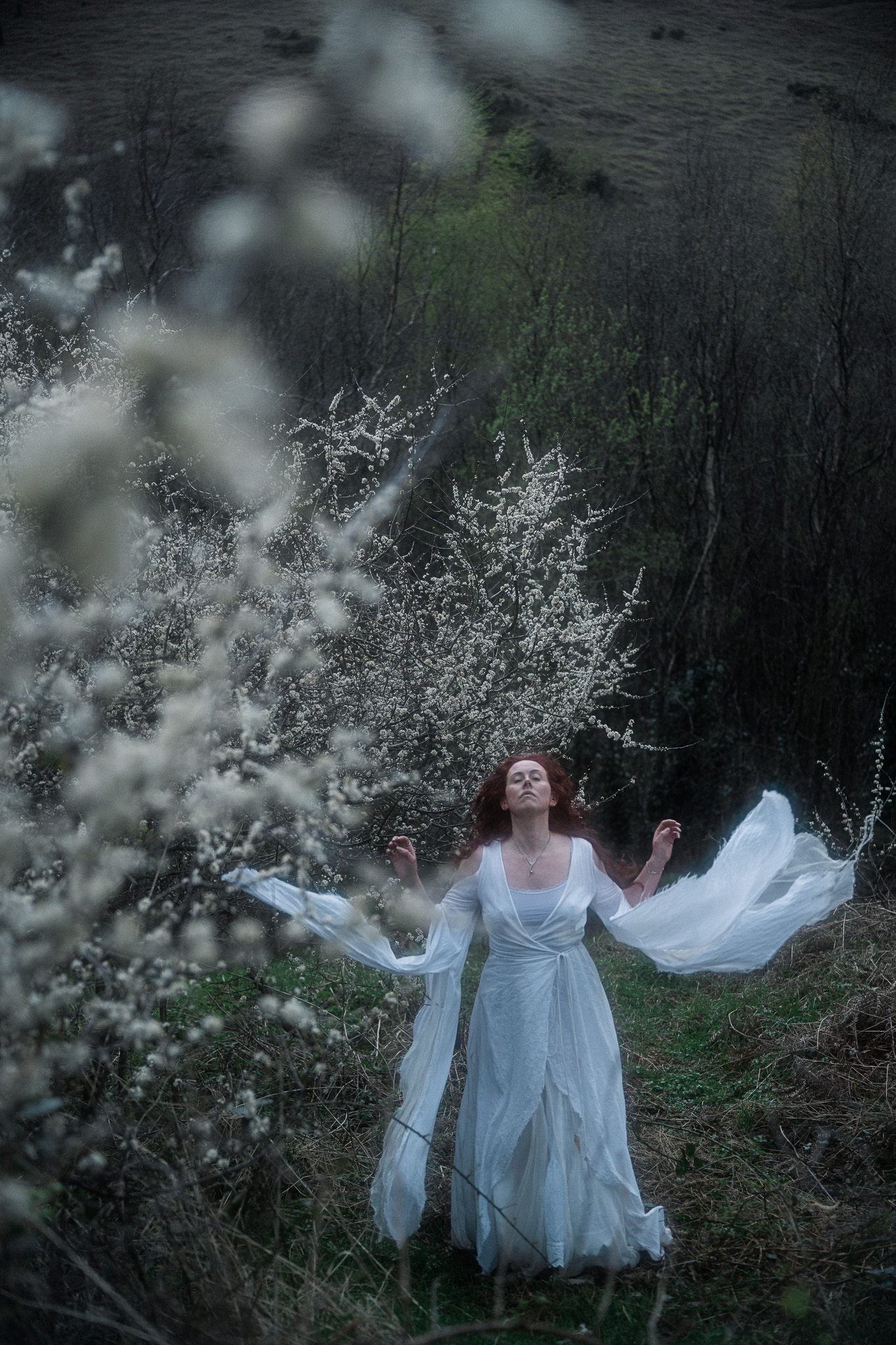 The Lunantishee — Celtic fae blackthorn, Isle of Man