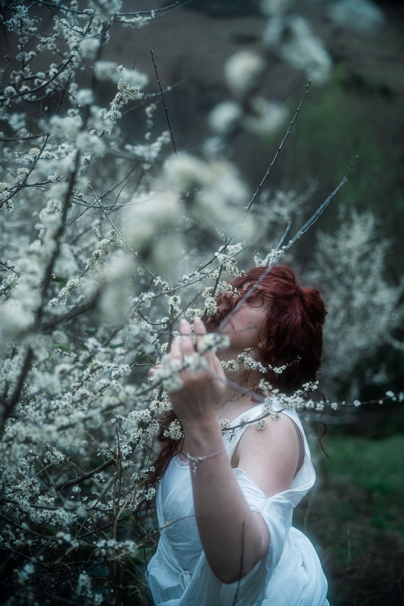 Face obscured by blackthorn branches and blossom