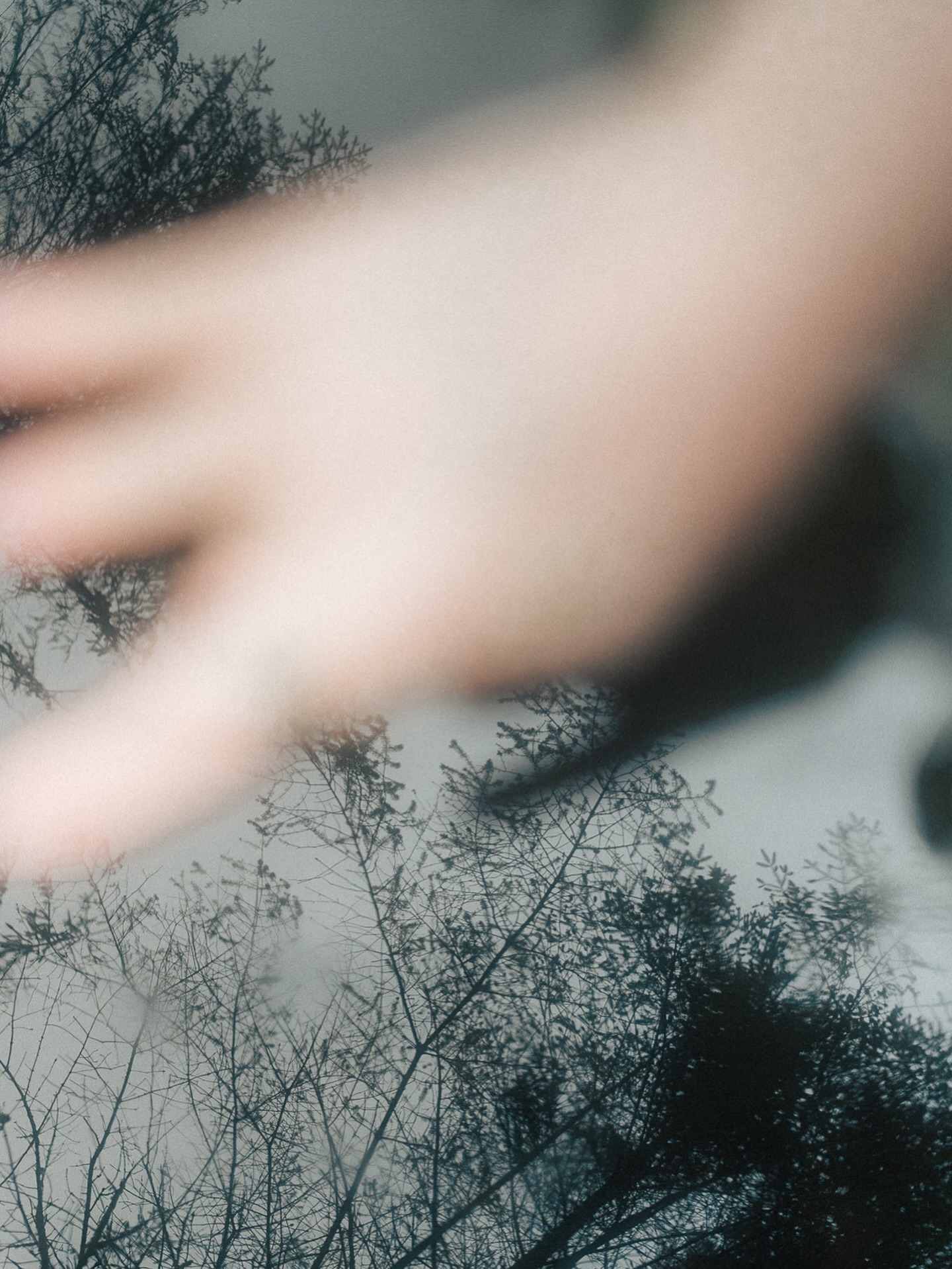 Hand moving through bare winter trees — Isle of Man