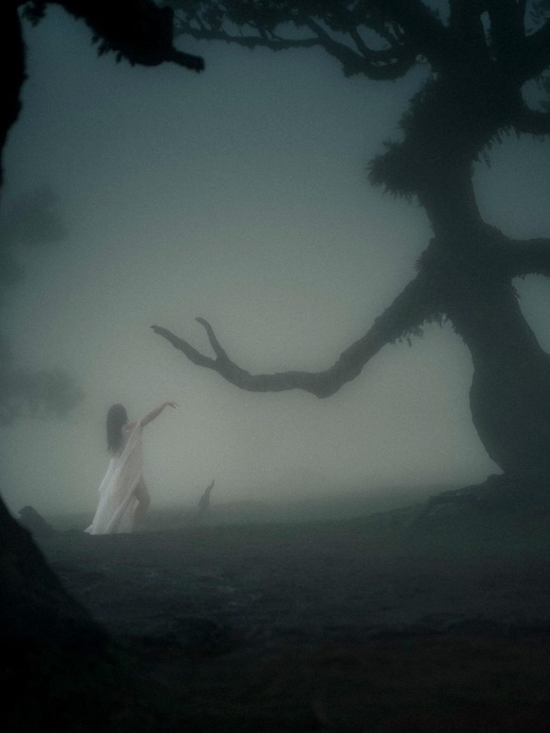 Misty laurissilva forest, Madeira — white figure among ancient trees