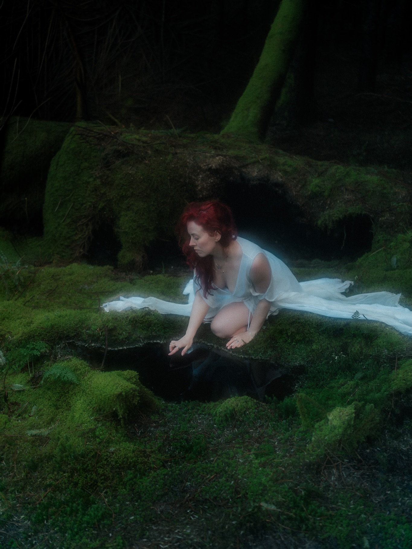 She Belongs to the Moss — Isle of Man woodland