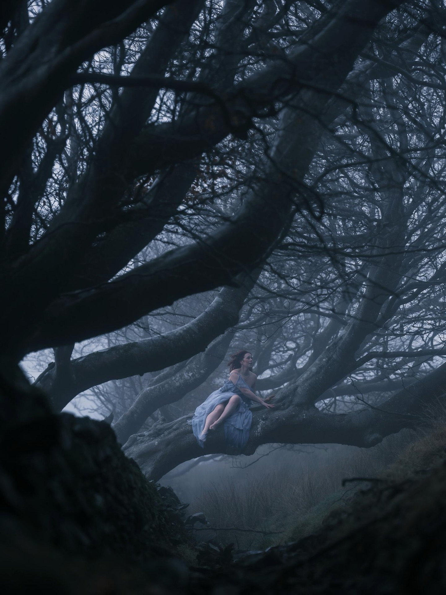 Sitting inside ancient hawthorn trees — Isle of Man